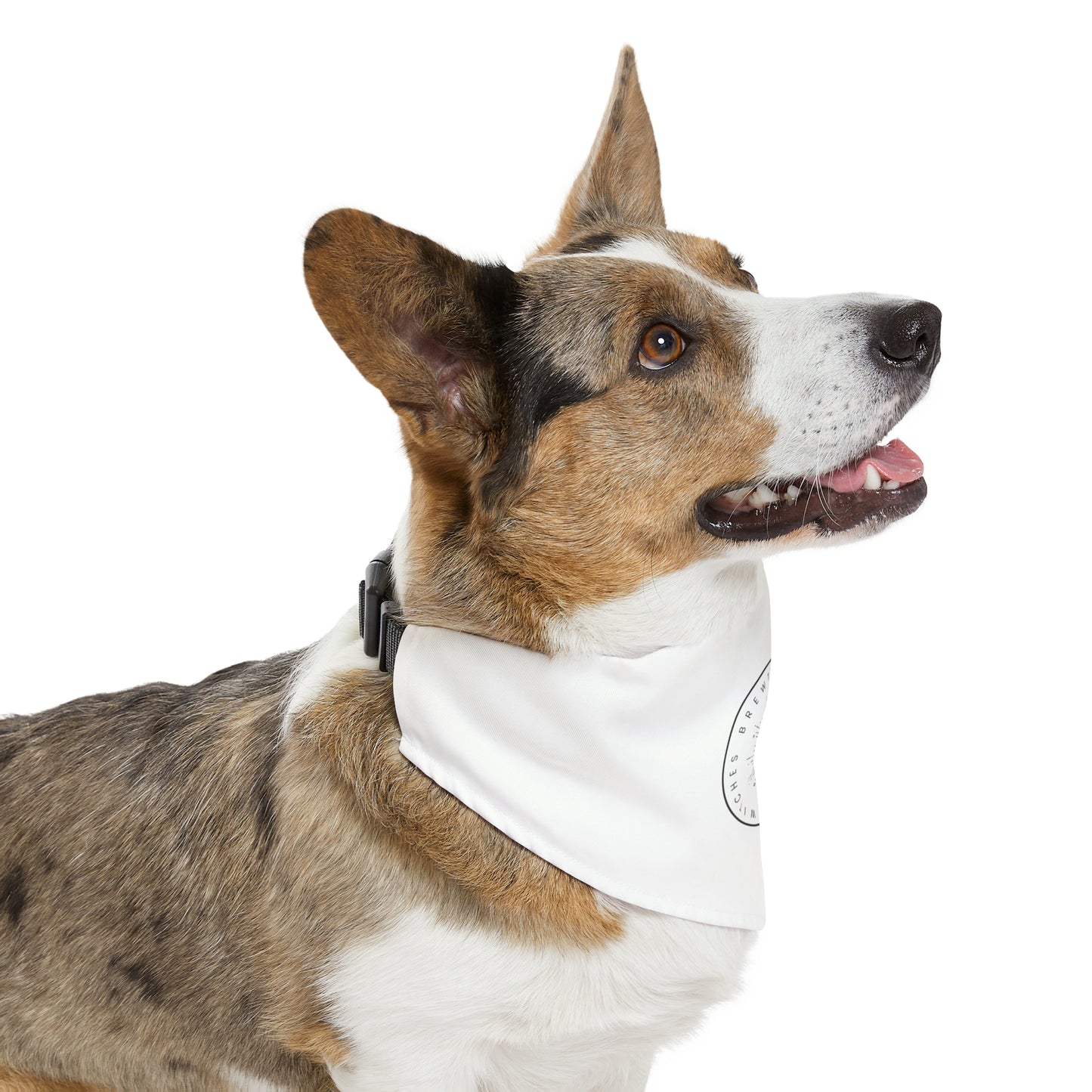 The Witches Brewtique Pet Bandana Collar