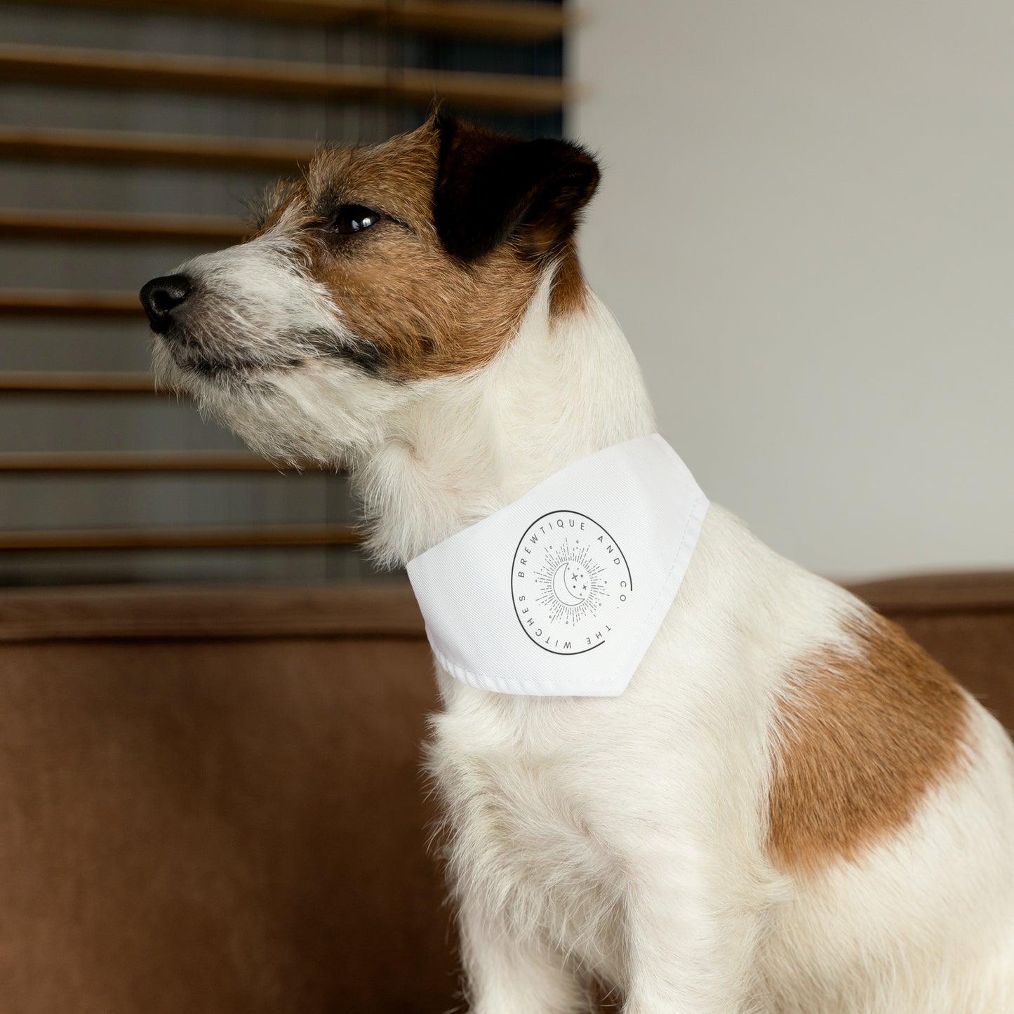 The Witches Brewtique Pet Bandana Collar