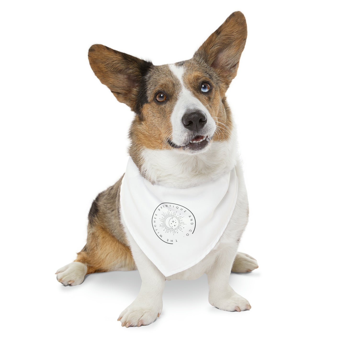 The Witches Brewtique Pet Bandana Collar