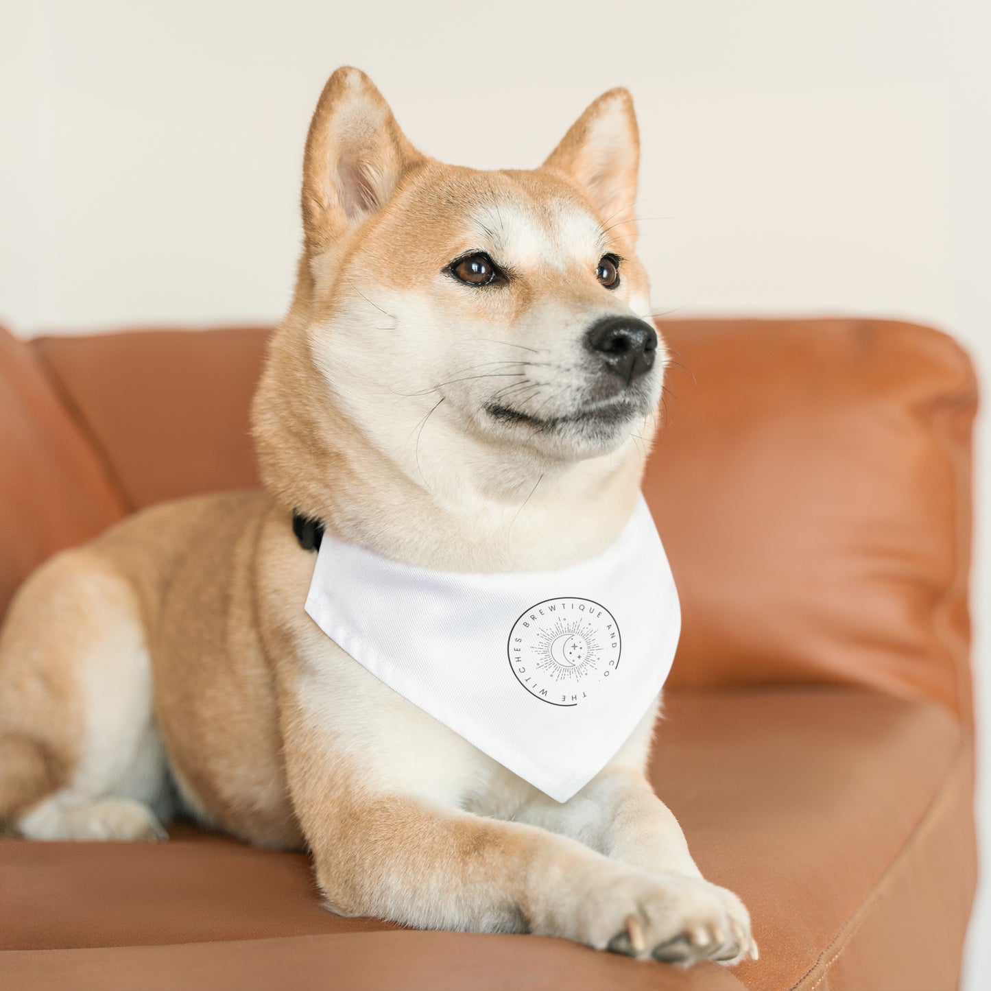 The Witches Brewtique Pet Bandana Collar