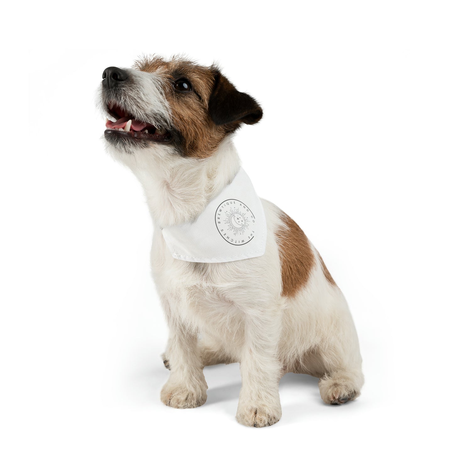 The Witches Brewtique Pet Bandana Collar