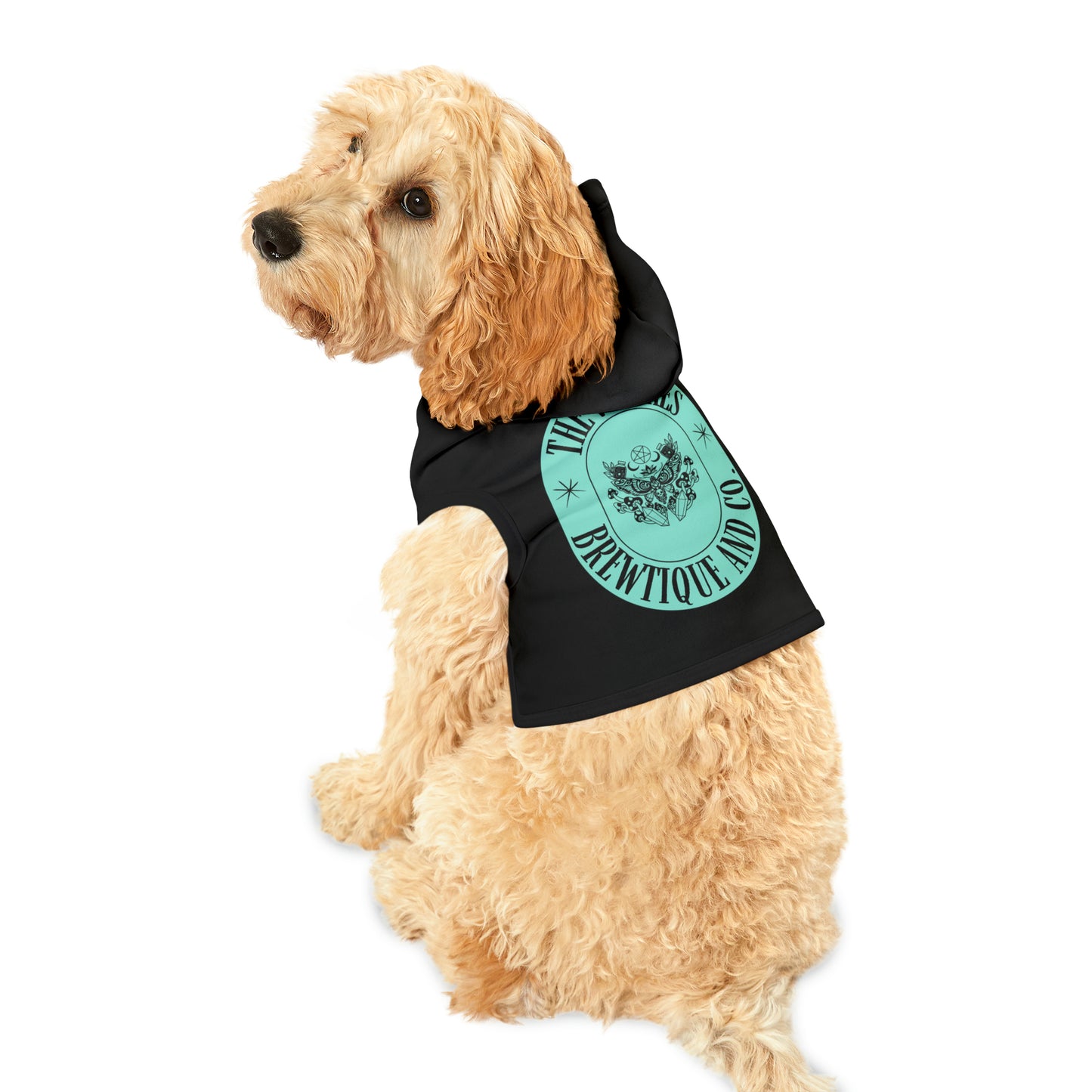 The Witches Brewtique Pet Hoodie