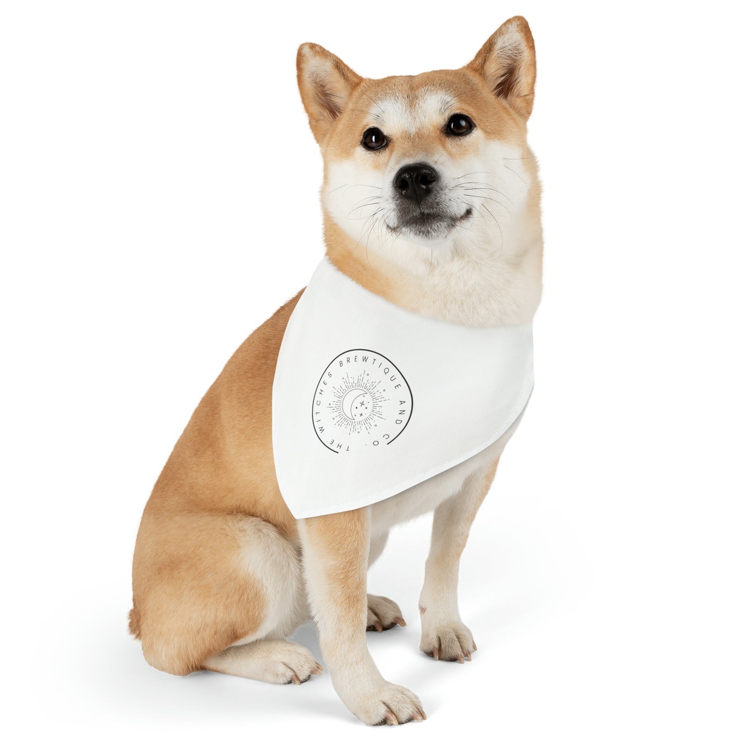 The Witches Brewtique Pet Bandana Collar