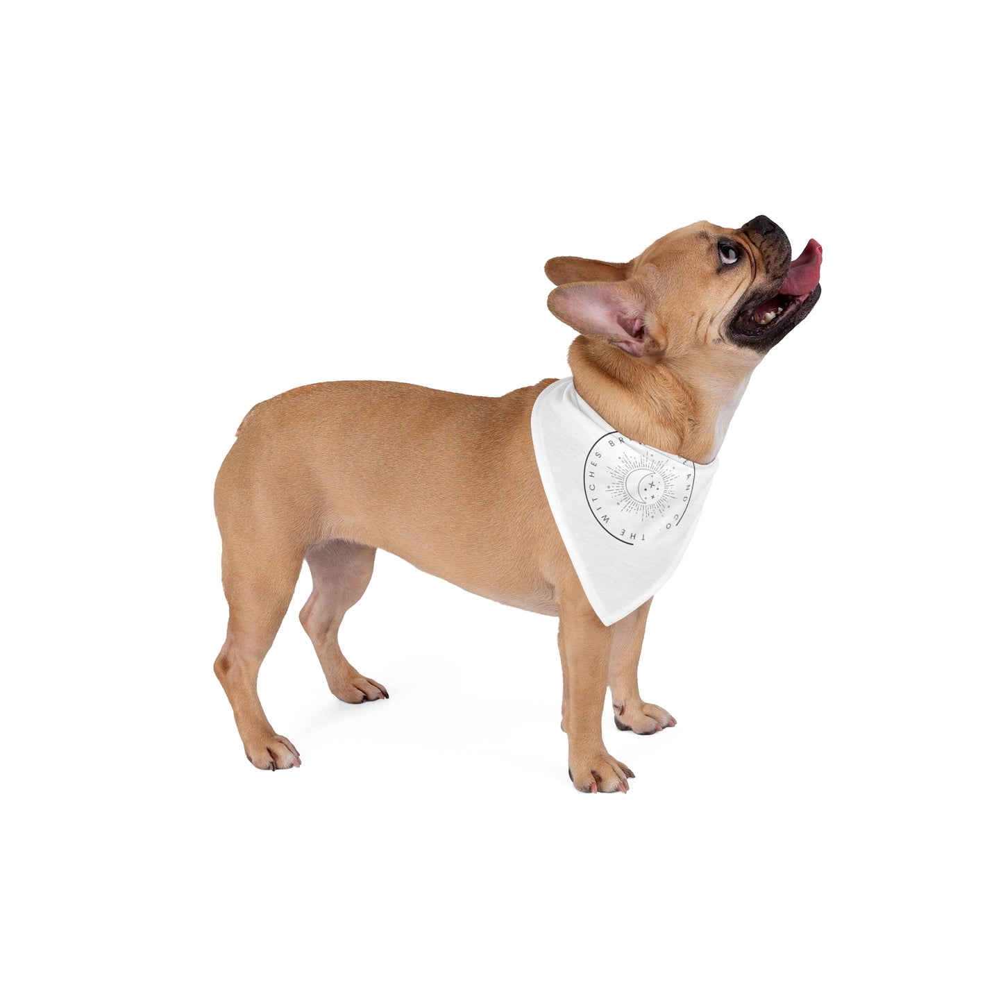 The witches Brewtique logo Pet Bandana