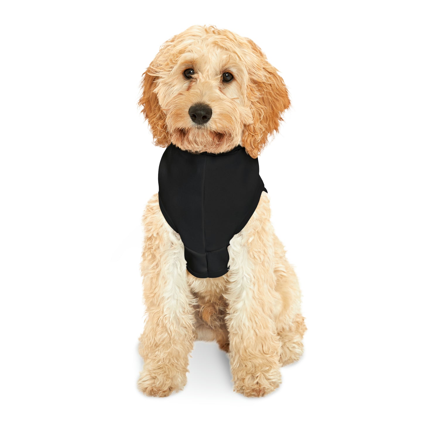 Moth and moon Pet Hoodie