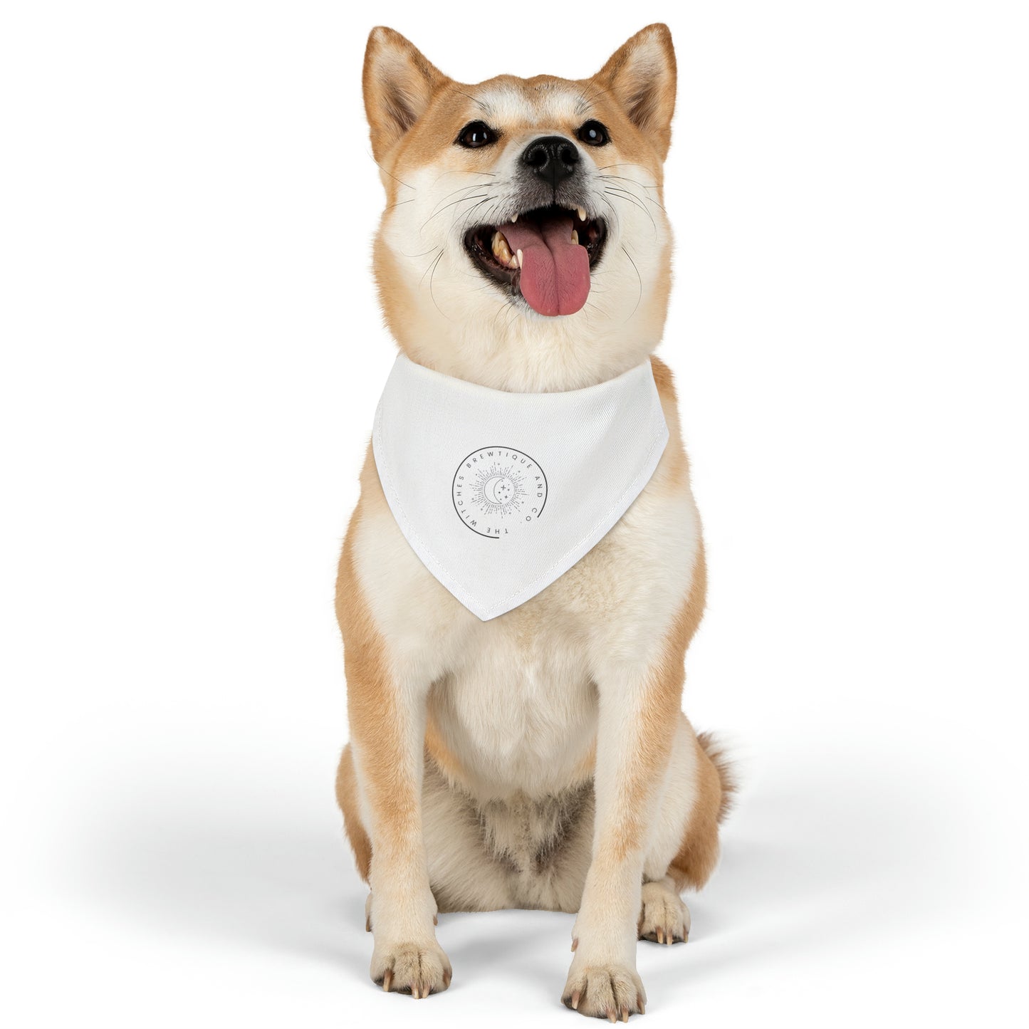 The Witches Brewtique Pet Bandana Collar